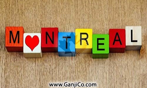 Pourquoi choisir Montreal Ganji